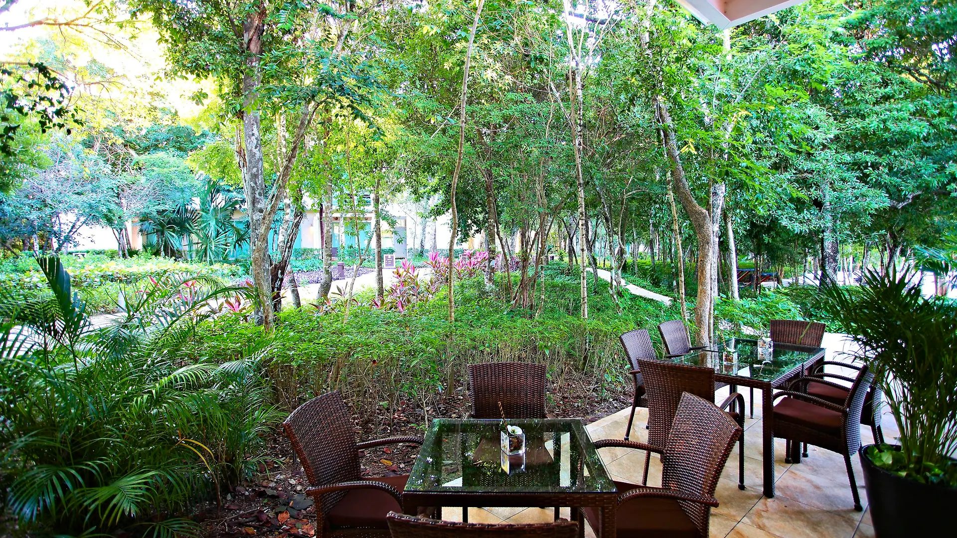 Bahia Principe Luxury Akumal (Adults Only) Hotel Mexico